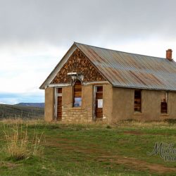 photo courtesy of Michelle Cox Courtesy of Michelle Cox